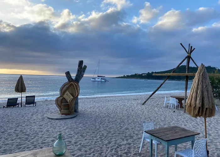 Les De La U Dragulinu