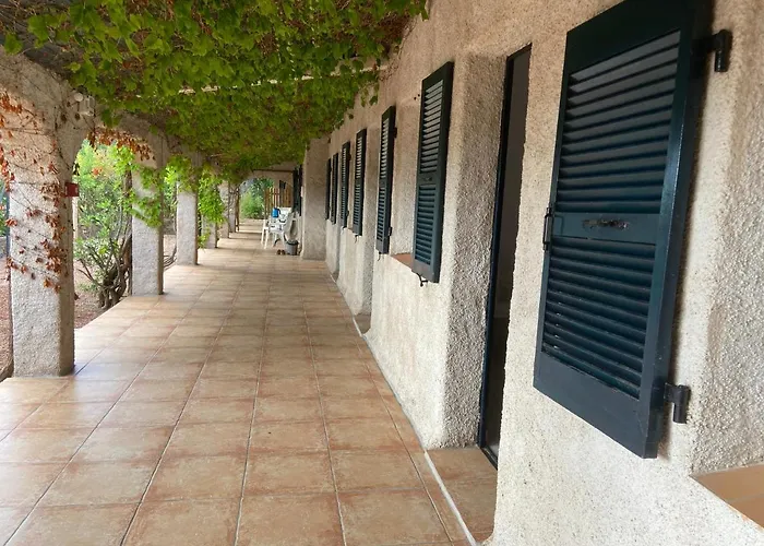 Les De La U Dragulinu